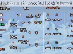 泰拉瑞亚肉山前 boss 资料及掉落物大揭秘