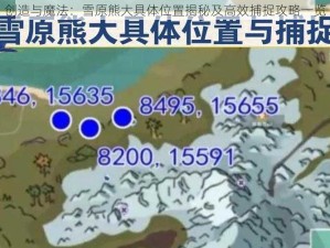 创造与魔法：雪原熊大具体位置揭秘及高效捕捉攻略一览