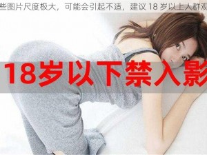 这些图片尺度极大，可能会引起不适，建议 18 岁以上人群观看