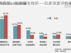 狂野西部：的荣耀与挫折——玩家深度评价揭秘