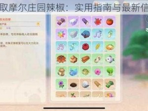 如何获取摩尔庄园辣椒：实用指南与最新信息分享