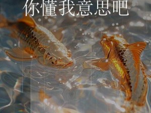 永久免费不收费网站正能量，提供丰富的知识和娱乐，让你轻松学习和放松