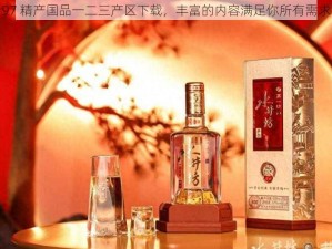 97 精产国品一二三产区下载，丰富的内容满足你所有需求