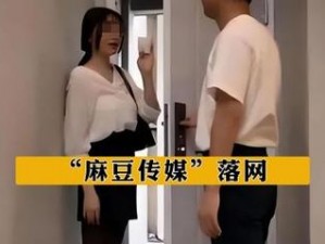 麻豆画精品传媒 2021：为何如此受欢迎？如何获取资源？