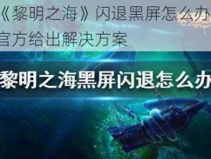 《黎明之海》闪退黑屏怎么办？官方给出解决方案