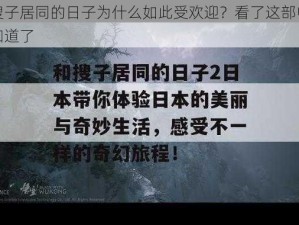 和搜子居同的日子为什么如此受欢迎？看了这部电影就知道了