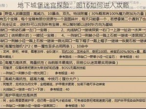 地下城堡迷宫探险：图16如何进入攻略