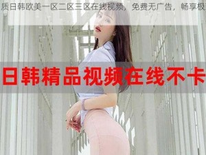 高品质日韩欧美一区二区三区在线视频，免费无广告，畅享极致体验