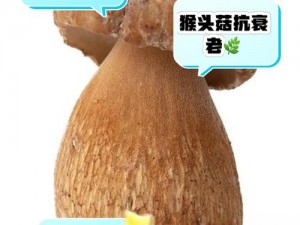 蘑菇头顶部为什么会开？如何避免蘑菇头顶部开？