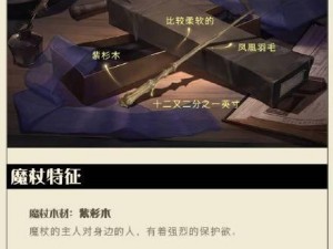 哈利波特手游解读：角色分院机制深度解析与魔杖分院特色介绍