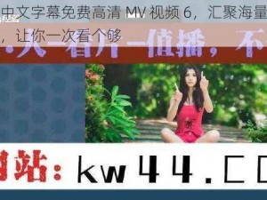 最新中文字幕免费高清 MV 视频 6，汇聚海量精彩内容，让你一次看个够