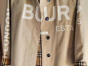 BURBERRY中文免费版 BURBERRY 经典格纹时尚潮流风衣，免费体验中文版