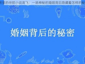 婚房里的伴郎小说高飞：一场神秘的婚姻背后隐藏着怎样的秘密？