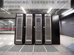 欧美 VPSWINDOWS 精品，专业级高端服务器，提供稳定、安全、高速的网络环境