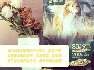 和金毛干了四年都没事，这款狗粮你也值得拥有