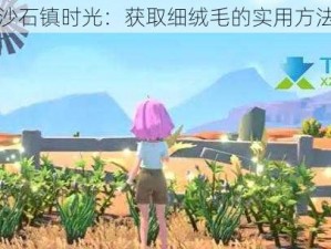 沙石镇时光：获取细绒毛的实用方法