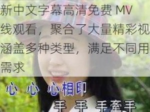 最新中文字幕高清免费 MV 在线观看，聚合了大量精彩视频，涵盖多种类型，满足不同用户的需求