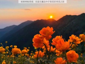 探索神秘领域：创造与魔法中夕阳花的寻觅之旅