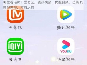 哪里看毛片？爱奇艺，腾讯视频，优酷视频，芒果 TV，哔哩哔哩，应有尽有