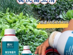 沼汇陵技能点——新型高效生物发酵菌剂