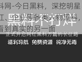 黑料网-今日黑料，深挖明星、网红、企业等各类人物黑料，让你看到真实的另一面