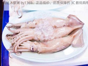 鱿鱼网进入官网 by1365，正品低价、品质保障的 3C 数码购物网站