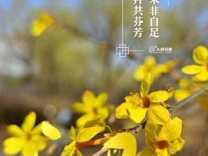 在这个春天，让[产品名称]与春日繁花来场浪漫邂逅