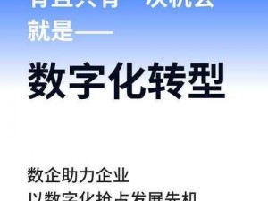 高效稳定的 RB 优质系统，助您轻松实现业务目标