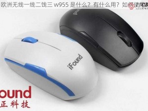 欧洲无线一线二饯三 w955 是什么？有什么用？如何使用？