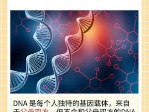 想知道母亲的 DNA 和儿子的 DNA 是否一样吗？