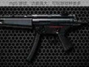 mp5 游戏，功能强大，可玩游戏种类多