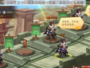 少年三国志：培养丹用途大揭秘，获取方式全攻略