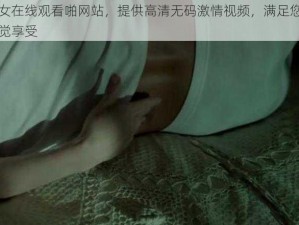 男女在线观看啪网站，提供高清无码激情视频，满足您的视觉享受