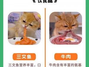 猫咪有你有我足矣入口 2021，一款适合猫咪的健康食品，让你的猫咪健康快乐