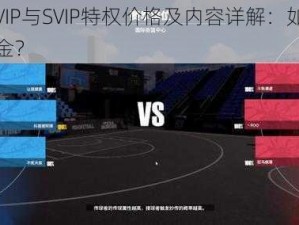 街篮VIP与SVIP特权价格及内容详解：如何高效氪金？