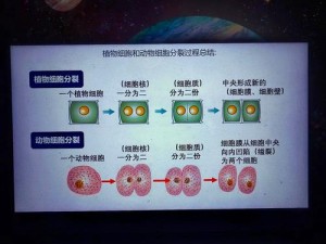 《细胞分裂5操作深度解析：探索游戏机制与策略运用》