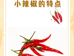 成品大香伊煮和小辣椒有什么特点？怎样区分它们？