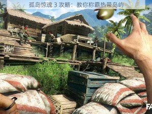 孤岛惊魂 3 攻略：教你称霸热带岛屿