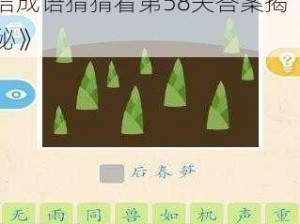 《太子太师关卡答案大全：微信成语猜猜看第58关答案揭秘》