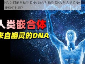 人类 DNA 为何能与动物 DNA 融合？动物 DNA 与人类 DNA 融合对人类健康有何影响？