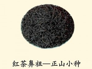 《本茶纲目：正山小种之韵味探秘》