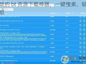 高效的 bt 资源下载神器，一键搜索，轻松获取