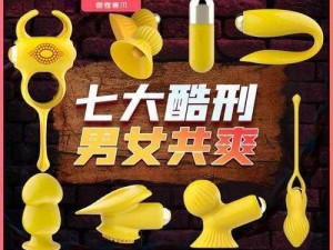 情趣玩具——满足你对性爱的无尽探索