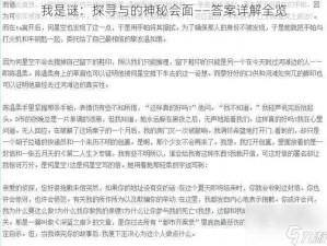 我是谜：探寻与的神秘会面——答案详解全览