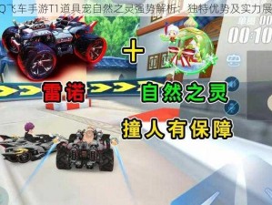 QQ飞车手游T1道具宠自然之灵强势解析：独特优势及实力展现