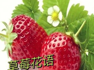 新鲜采摘的草莓、甜美多汁的榴莲、香脆可口的向日葵，18 岁的绿色精品，带给你美味的享受