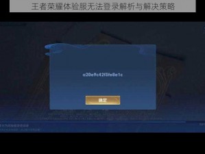 王者荣耀体验服无法登录解析与解决策略
