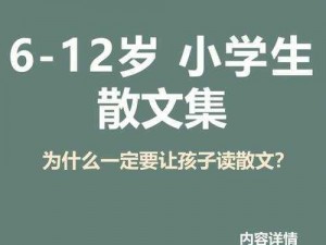 当着全班的面做到高 C 作文——舒适透气的学习神器