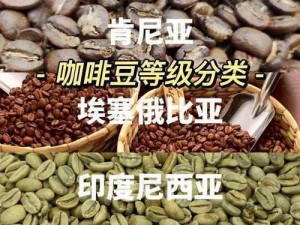 麻豆精产一二三产区，优质产区，产品丰富多样