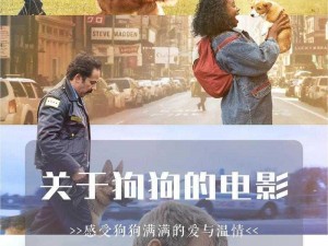 关于我与我的狗狗的温馨时刻——精彩截图预览